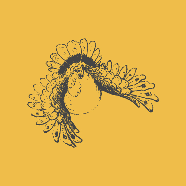 وکتور پرنده ایرانی