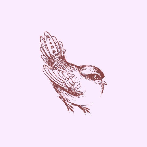 وکتور پرنده ایرانی